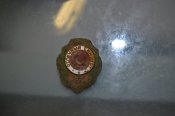 DSC_4873.JPG