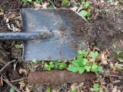 20130501_150819.jpg