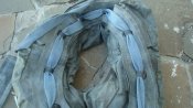 DSC04042.JPG