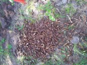 20130502_174504.jpg