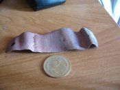 IMG_5459 (Medium).JPG