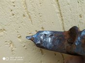 IMG_20200502_152354.jpg