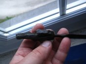 IMG_4266.JPG