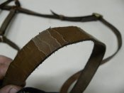 DSCN8442.JPG