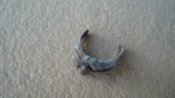 DSC04058.JPG