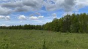 IMG_0003.JPG