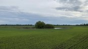 IMG_0015.JPG