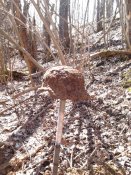 2013-04-28 12.42.45.jpg