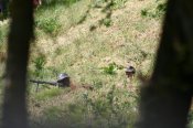 IMG_7898.JPG