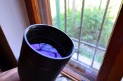 DSC_0169_5.jpg