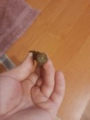 IMG_20210516_200942753.jpg