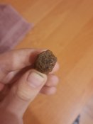 IMG_20210516_201021832.jpg