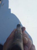 IMG_20210521_161612.jpg