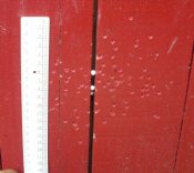 SDC10329.jpg