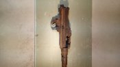 MG81