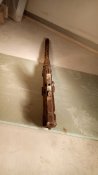 MG81