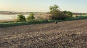 IMG_0004.JPG