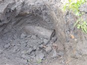 DSCN4552.jpg