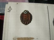 PC240371.JPG