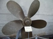IMGP6500.jpg