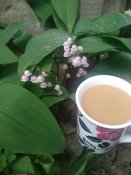 IMG_20210526_065555.jpg