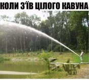 зображення_viber_2021-05-26_10-43-16.jpg
