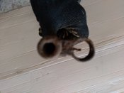20210526_153312.jpg