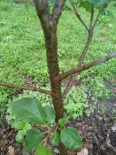 IMG_20210528_074809.jpg