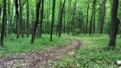 IMG_20210530_131219.jpg