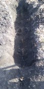 IMG_20201008_102720.jpg