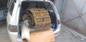 IMG_20201008_155259.jpg