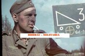 изображение (1).jpg