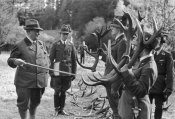Reichsforst DJ-15.jpg