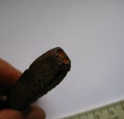 IMG_9246.JPG
