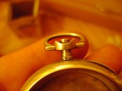DSC02950.JPG