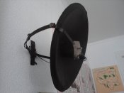 P08-05-13_10-55.jpg