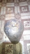 IMG_20210602_224245.jpg
