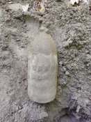 IMG_20210603_095258.jpg