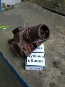 IMG_20210603_191303.jpg