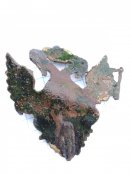 Орел з Лядунки