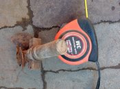 IMG_20210606_102102.jpg