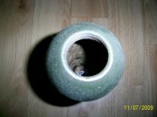 PIC_0204.jpg
