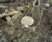 Photo-0237.JPG