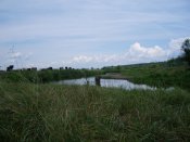 IMGP3042.jpg