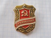 Дружинник