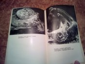 Приматы моря 1963г