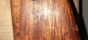 20210613_131144.jpg