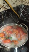 IMG_20210613_211948.jpg