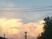 IMG_20210614_205230.jpg