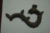 DSC01321.jpg